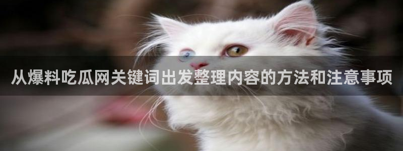 吃瓜最新入口